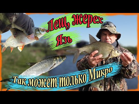 Видео: Лещ, жерех, язь... Так может только Микро