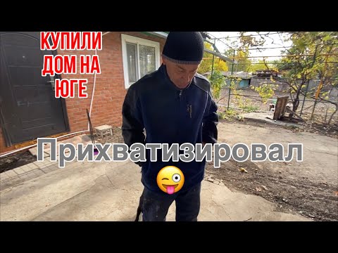 Видео: 389ч🏡01.11.24-Приоделись/Проводка в спальне/Саженцы сирени