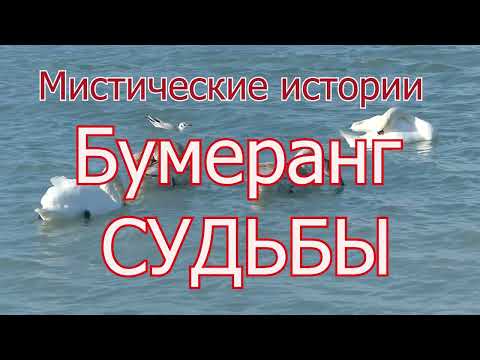Видео: #историиизжизни Истории из Жизни БУМЕРАНГ СУДЬБЫ