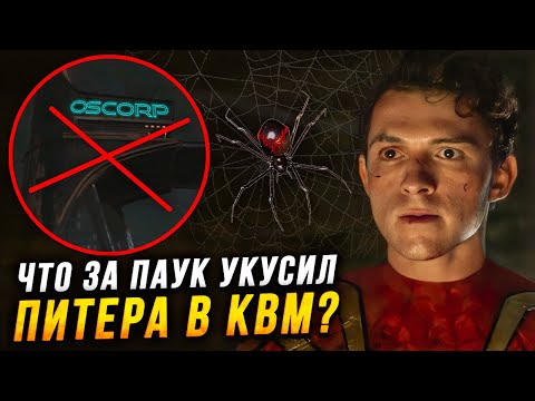Видео: Как Человек Паук Тома Холонда получил паучьи способности