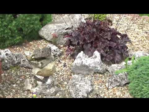 Видео: Шок! Нас месяц не было на даче.Что там творится