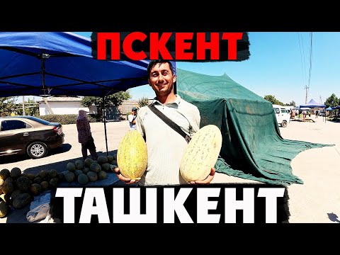 Видео: Пскент: Секреты местного рынка и необычный обед! Узбекистан!