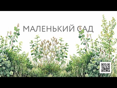 Видео: Как сделать сад на маленьком участке?