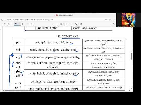 Видео: Румынский язык: гласные и согласные. Сочетания CE, CI, GE, GI. Звонкие согласные на конце слова.