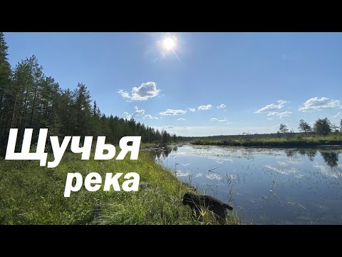 Видео: Река между двух Озер Кишит рыбой / Рыбалка на Спиннинг / Северная Карелия