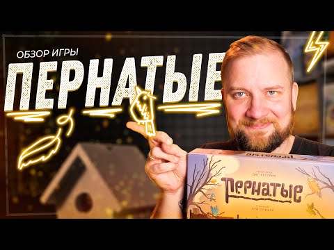 Видео: Пернатые - Обзор настольной игры