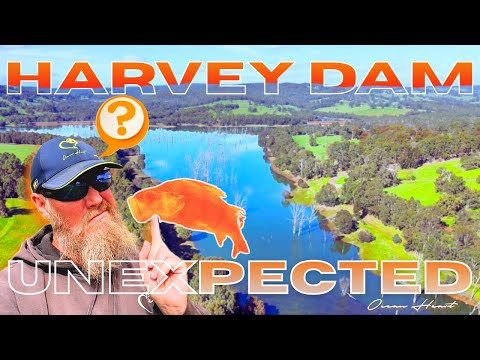 Видео: СУМАСШЕДШЕЕ... Я ЭТОГО НЕ ОЖИДАЛ!! Рыбалка на плотине Харви в Западной Австралии | ЧАСТЬ 2