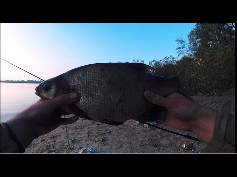 Видео: ФИДЕР ПОЗДНЕЙ ОСЕНЬЮ. Ловля крупного леща и подлеща. Активный клев.