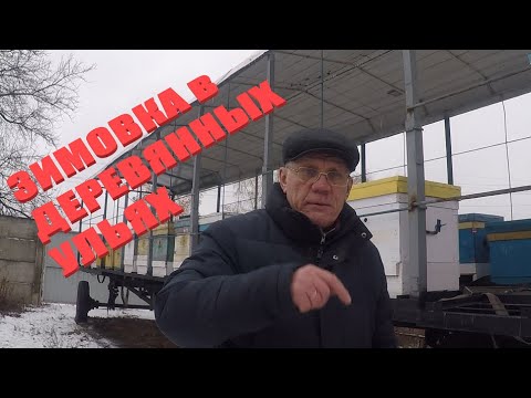 Видео: Как содержать пчел зимой на улице? Зимовка пчел Холодная зимовка пчел