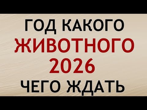 Видео: КАКИМ БУДЕТ 2026 ГОД - ГОД КАКОГО ЖИВОТНОГО И ЧТО НАС ЖДЕТ