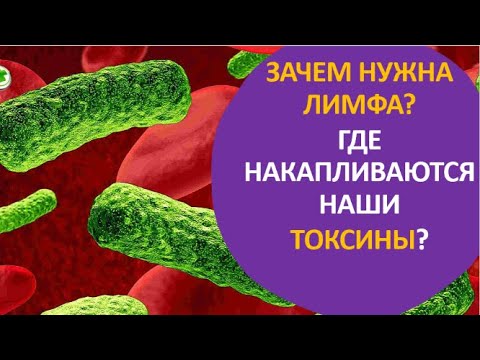 Видео: 6. Зачем нужна лимфа? Где накапливаются наши токсины?