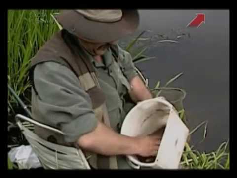 Видео: Прикладная ихтиология  Об особенностях рыбалки конца мая начала июня