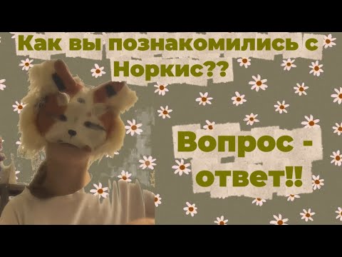 Видео: !!!!🌻ВОПРОС - ОТВЕТ✨!!!!