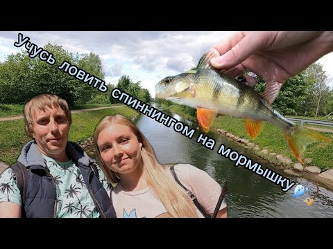 Видео: Учусь ловить спиннингом на мормышку 🎣