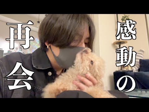 Видео: Приветствия «Я дома» и «Добро пожаловать домой» никогда не заканчиваются.