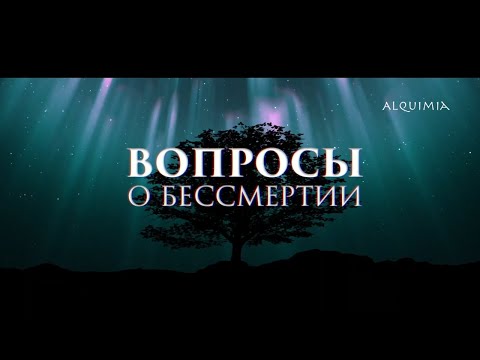 Видео: Цзе Кун. 100 вопросов о бессмертии
