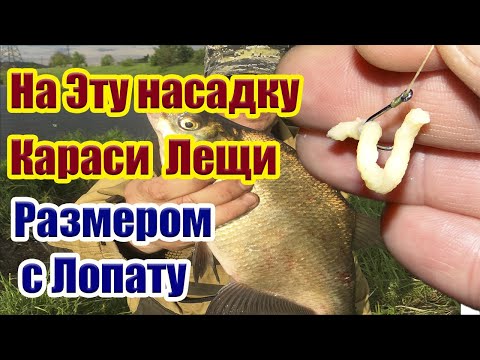 Видео: Карась Скажет Спасибо! Супер Рыболовная Насадка на карася Насадка для карася