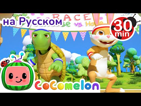 Видео: Гонки Черепахи и Зайца | 30 минут | CoComelon на русском — Детские песенки | Мультики для детей