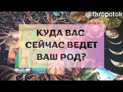 Видео: КУДА ВАС ВЕДЕТ ВАШ РОД?