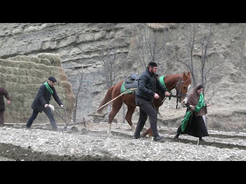 Видео: Яркий праздник весны и первой борозды «Оц бай» прошёл в селе Анди -  18.03.2023 год (1-я часть)