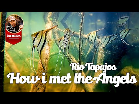Видео: Река Тапажос, часть 1