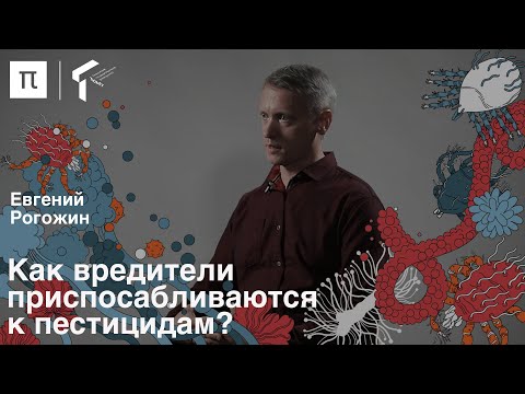 Видео: Антимикробная резистентность в сельском хозяйстве — Евгений Рогожин / ПостНаука