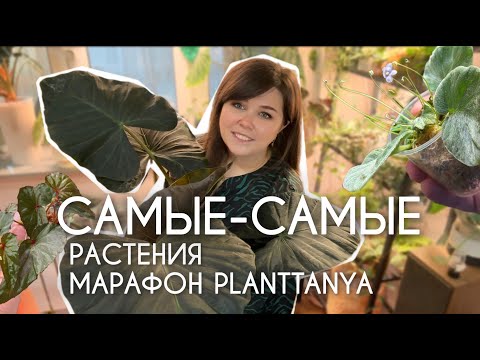 Видео: Номинанты на САМЫЕ-САМЫЕ растения