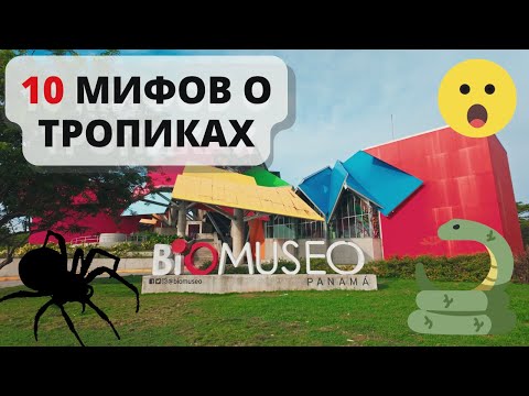 Видео: 10 СМЕРТЕЛЬНЫХ опасностей тропиков: МИФ или РЕАЛЬНОСТЬ? 😱 Шокирующая статистика!