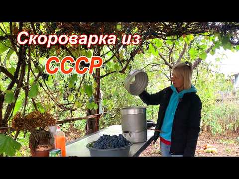 Видео: 💔 ЖИВУ НА КРАЮ СЕЛА. ОТКЛЮЧАЮТ СВЕТ. ВСЕ УСПЕЛА, ЧТО ХОТЕЛА!