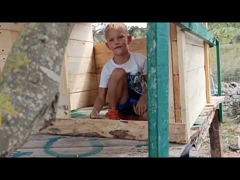 Видео: Внуки строят домик на даче. Испания, осень 2025 года
