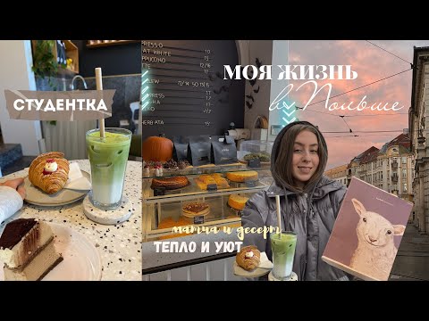 Видео: осенние будни студентки в Польше | разговоры по душам и мотивация