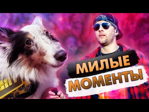 Видео: Самые Милые Случаи На Рок Концертах!