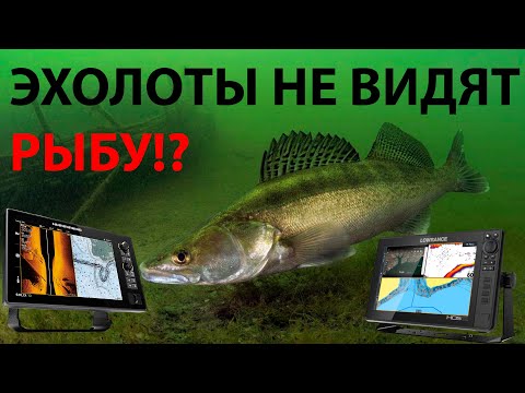 Видео: Эхолоты не видят рыбу. Эхолоты за 660 000 рублей