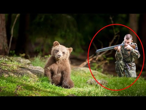 Видео: Медвежонок потерявший маму наткнулся на браконьеров... такой расплаты не ожидал никто!