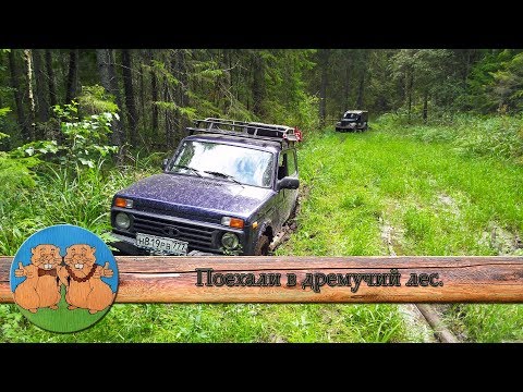 Видео: В поисках лопаты. Едем в дремучий лес с непроходимыми болотами на ГАЗ 69 и Нива Урбан. Грязи нет:)
