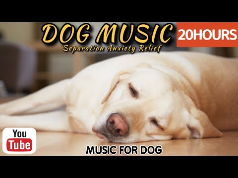 Видео: 20 часов любимой музыки собак🐶💖Музыка для сна собак 🐶🎵 Музыка для снятия беспокойства при разлуке🎵