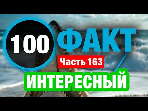 Видео: 100 Интересный Факт О Котором Вы Не Знали