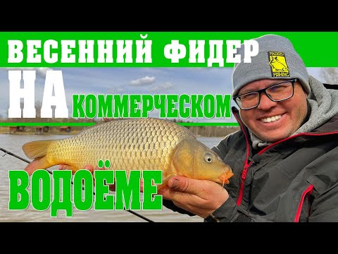 Видео: Весенний фидер на коммерческом водоёме. Архивное видео.