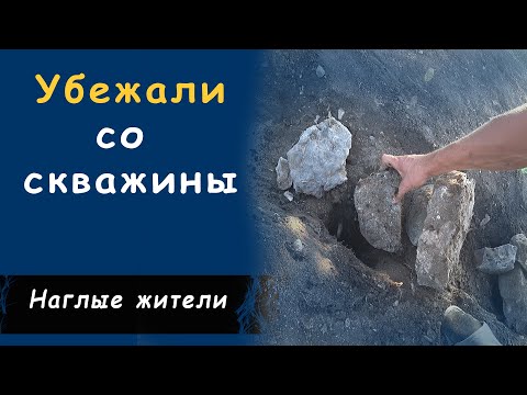 Видео: Жесткая скважина часть 2 / Отказались от работы работяги