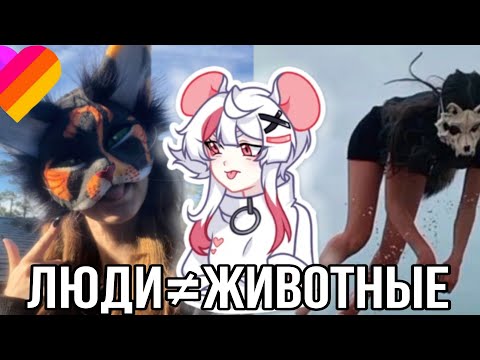 Видео: Реакция на квадроберов из лайка! 4 часть квд!?