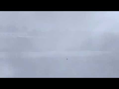 Видео: Конец октября 2024