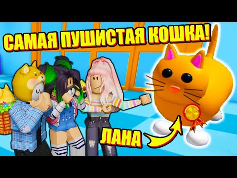 Видео: НЕ ГОВОРИТЕ ЛАНЕ ЧТО ОНА ТОЛСТАЯ!.. Roblox Pet Escape 2