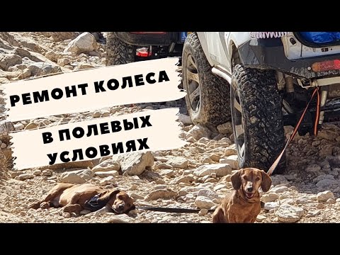 Видео: Ремонт колеса. Запаска для слабаков | Suzuki Jimny