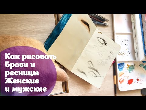 Видео: Как рисовать брови и ресницы/ Мужские и женские/ How to paint eyebrows