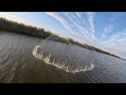 Видео: НАШЛИ СКОПЛЕНИЕ РЫБЫ И НЕПЛОХО ОТЛОВИСЬ!!!   ОСЕННЯЯ РЫБАЛКА НА КАСТИНГОВУЮ СЕТЬ...