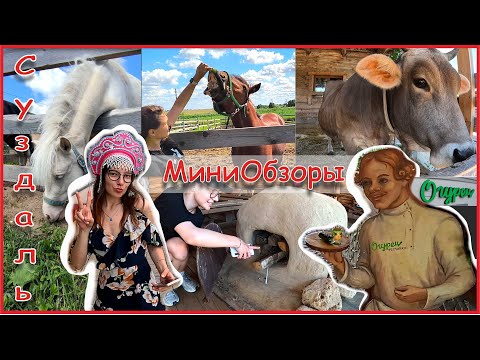 Видео: Суздаль. Ресторан "Огурец", Конный клуб BaluTeam, «Щурово городище», Отель Летопись. Мини обзоры.