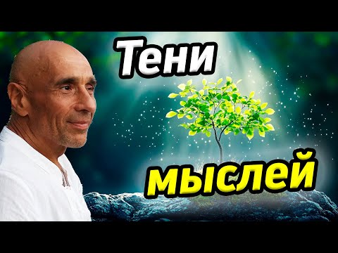 Видео: Сатсанг со Станиславом Милевичем