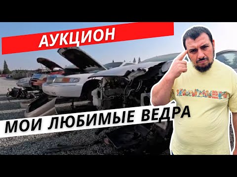 Видео: АМЕРИКАНСКИЙ АВТОДВИЖ! СМОТРИМ ЦЕНЫ НА АУКЦИОНЕ!