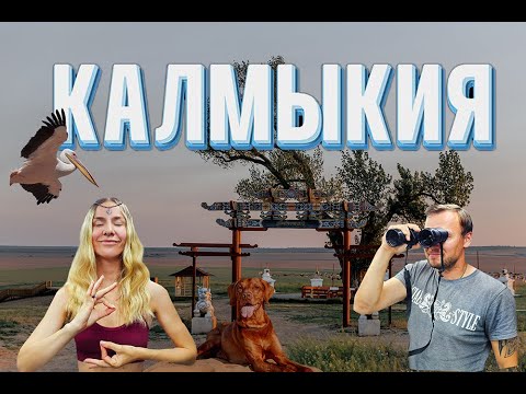Видео: КАЛМЫКИЯ. Недооцененная республика: пустыни, розовые озера, буддизм и местное сафари