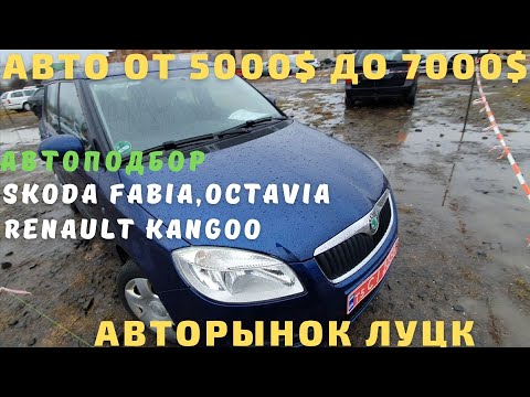 Видео: Цены Skoda Fabia Octavia, Renault Kangoo на луцком авторынке. Какое авто купить до 5500$? Часть IV.